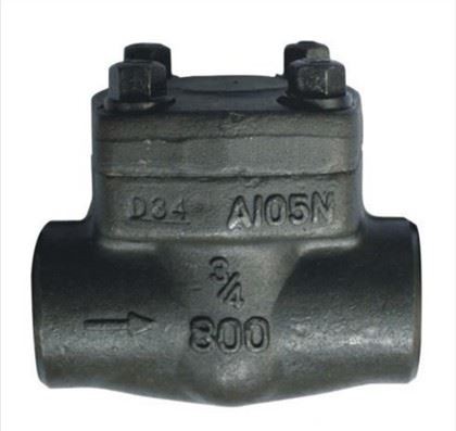 Periksa Valve