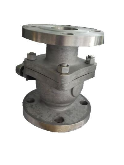 Katup Zirkonium